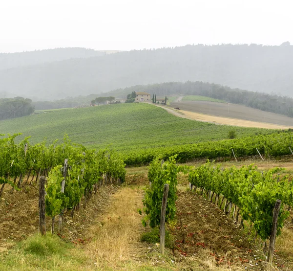 Chianti, Toscana — Fotografia de Stock