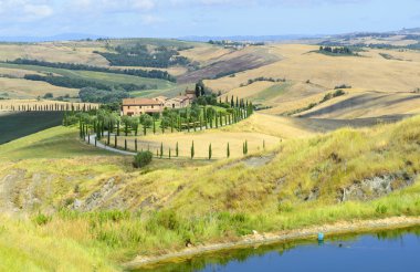 Girit senesi (Toskana, İtalya)