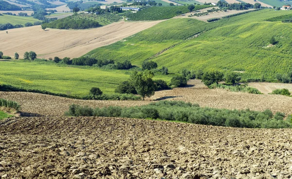 Marscher (Italien): sommar landskap — Stockfoto