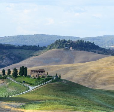 Girit senesi (Toskana, İtalya)