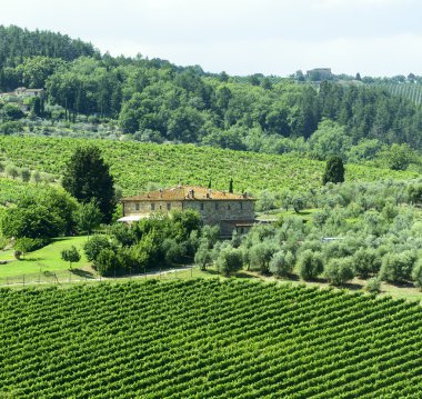 Chianti, Toskana