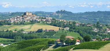 langhe (İtalya yaz peyzaj)