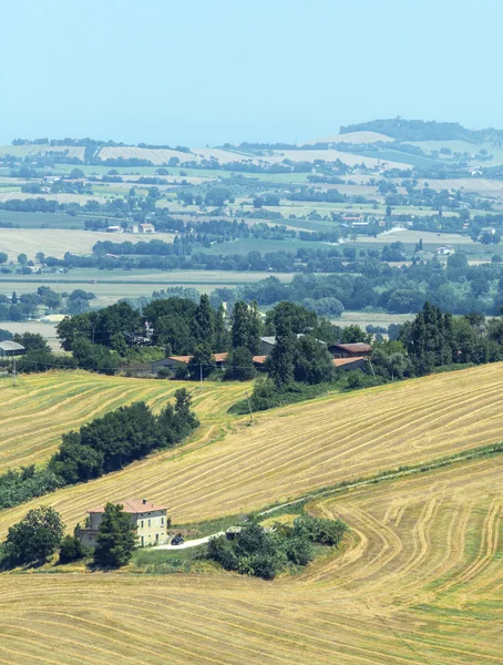 Krajobraz lato w Marche (Włochy) — Zdjęcie stockowe