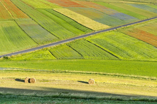 Piano Grande di Castelluccio (Italien) — Stockfoto