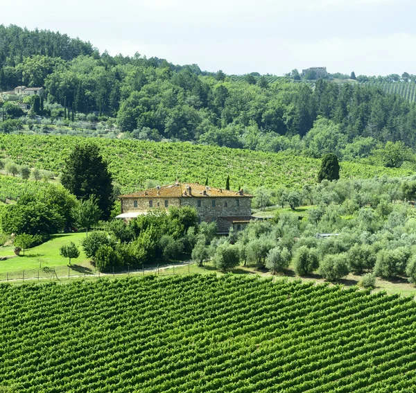 Chianti Toskania — Zdjęcie stockowe