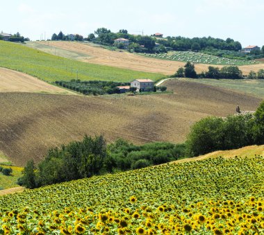 Yürüyüşleri (İtalya yaz peyzaj)