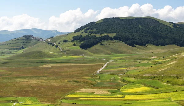 Πιάνο Castelluccio di Grande (Ιταλία) — Φωτογραφία Αρχείου