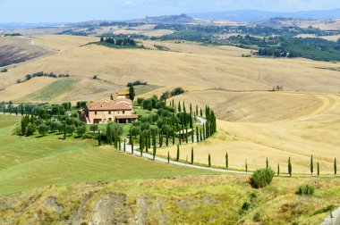 Girit senesi (Toskana, İtalya)