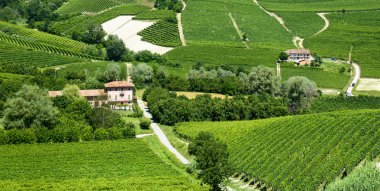 langhe (İtalya yaz peyzaj)