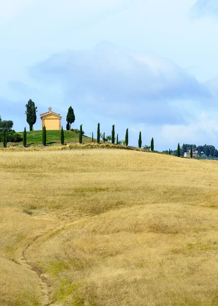 Betonsenesi (Toskana, Italien) — Stockfoto