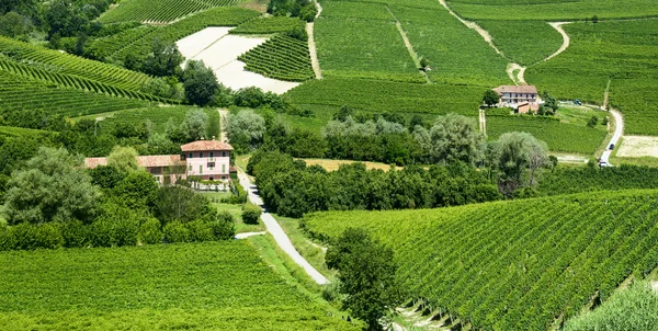 Krajobraz lato w langhe (Włochy) — Zdjęcie stockowe