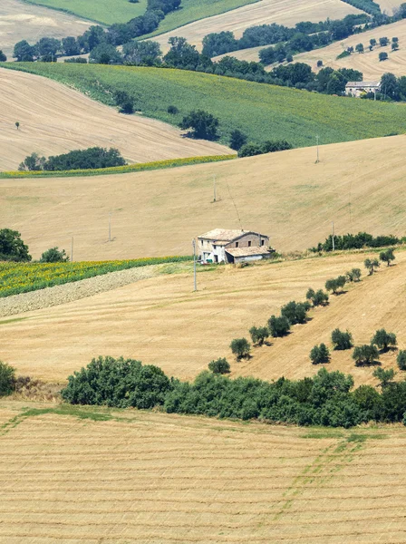 行進 (イタリアの夏の風景) — ストック写真