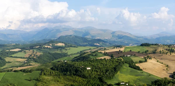 Sommaren landskapet i Marche (Italien) — Stockfoto