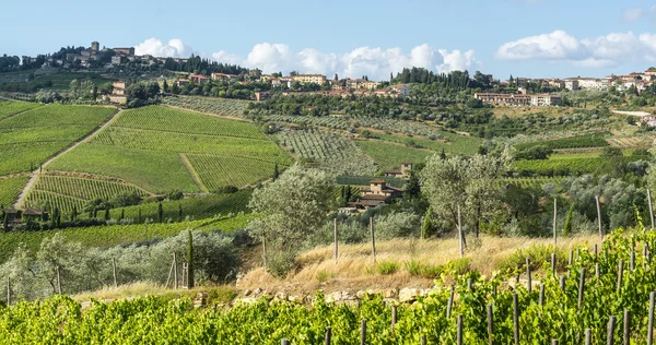 Chianti, Τοσκάνη — Φωτογραφία Αρχείου