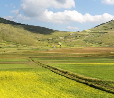 Piyano Grande di Castelluccio (İtalya)