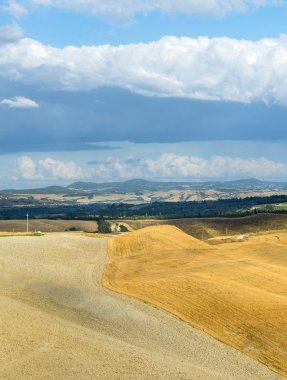 Girit senesi (Toskana, İtalya)
