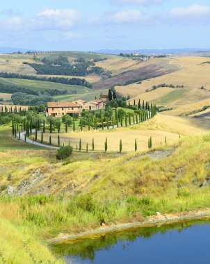 Girit senesi (Toskana, İtalya)