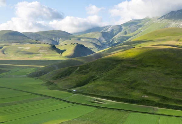 Piano Grande di Castelluccio (Италия) ) — стоковое фото