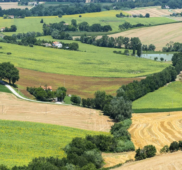 Krajobraz lato w Marche (Włochy) — Zdjęcie stockowe