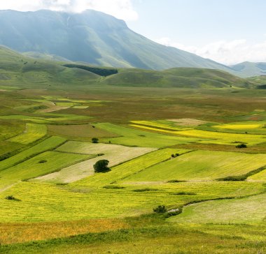 Piyano Grande di Castelluccio (İtalya)