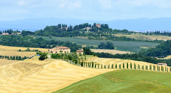 Κρήτη senesi (Τοσκάνη, Ιταλία) — Φωτογραφία Αρχείου