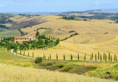 Girit senesi (Toskana, İtalya)