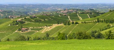 langhe (İtalya yaz peyzaj)