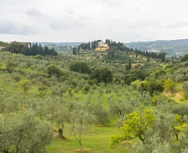 Landschap in Chianti (Florence, Toscane, Italië) — Stockfoto