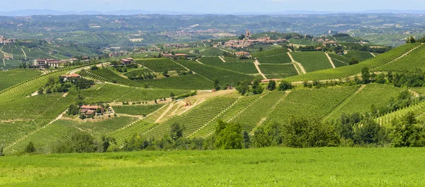 Krajobraz lato w langhe (Włochy) — Zdjęcie stockowe