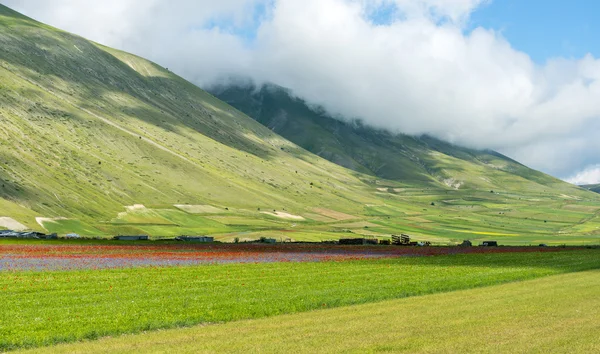 Piano Grande di Castelluccio (Italië) — Stockfoto