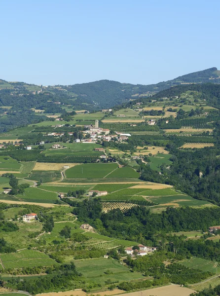 Sommar landskap i langhe (Italien) — Stockfoto