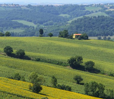 Yürüyüşleri (İtalya yaz peyzaj)