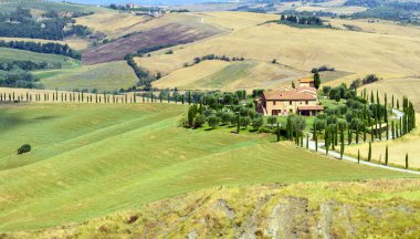 Girit senesi (Toskana, İtalya)