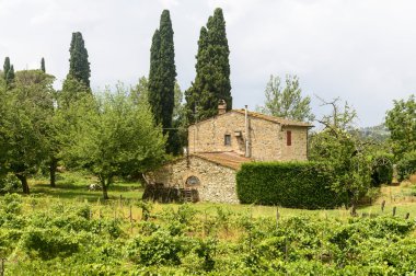 Chianti, Toskana