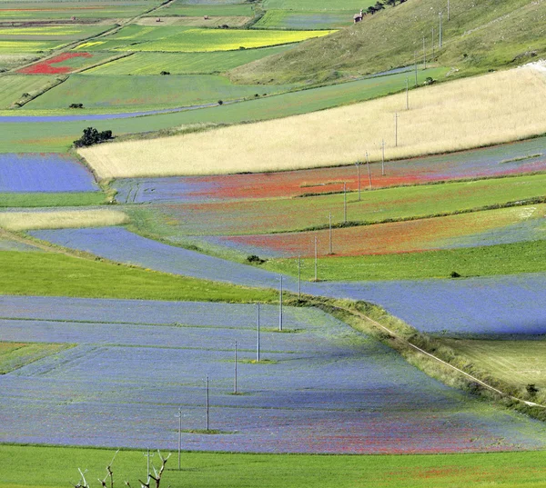 Piano grande di castelluccio (italien) — Stockfoto