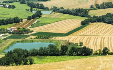 Yürüyüşleri (İtalya yaz peyzaj)