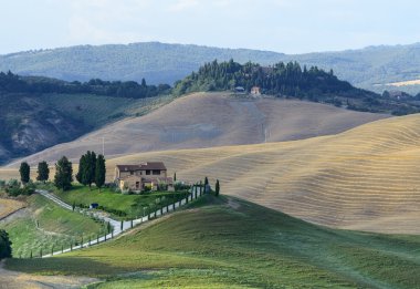 Girit senesi (Toskana, İtalya)