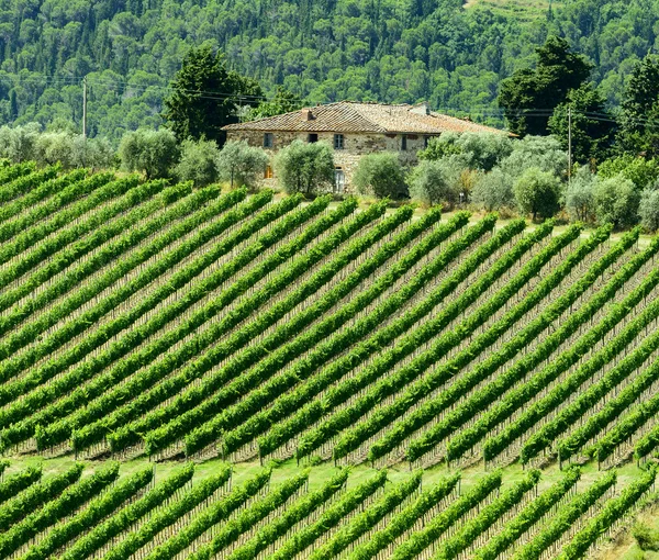 Chianti, Toskana — Stok fotoğraf