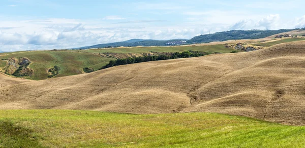 Girit senesi (Toskana, İtalya) — Stok fotoğraf