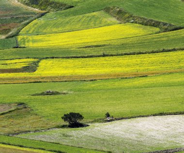 Piyano Grande di Castelluccio (İtalya)