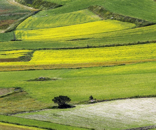 Piano Grande di Castelluccio (Itálie) — Stock fotografie