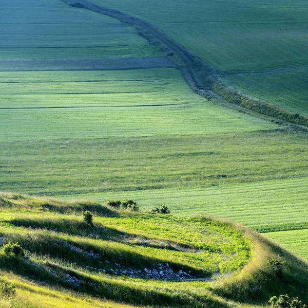 Piano Grande di Castelluccio (Italia) ) —  Fotos de Stock