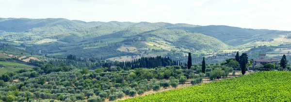 Chianti, Toscana — Foto de Stock