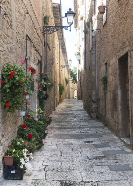 Colle di Val d'Elsa (Siena, Tuscany, Italy), historic city. Old houses with potted plants and flowers