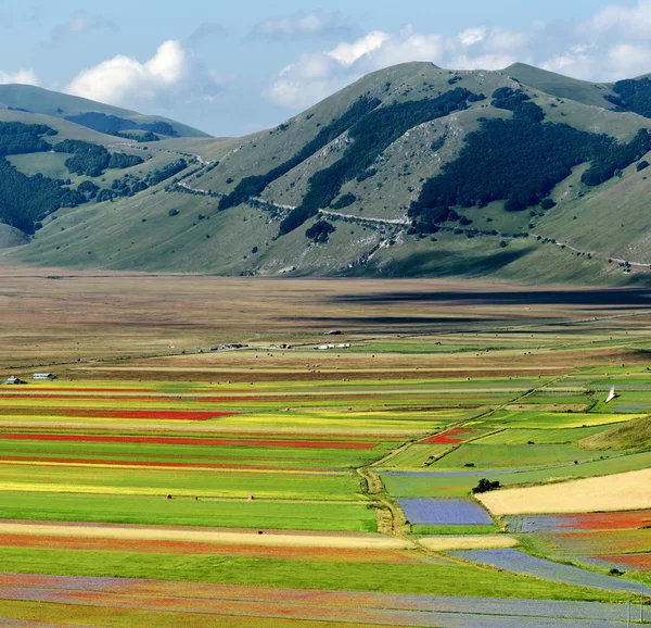 Piano Grande di Castelluccio (Italia) ) —  Fotos de Stock