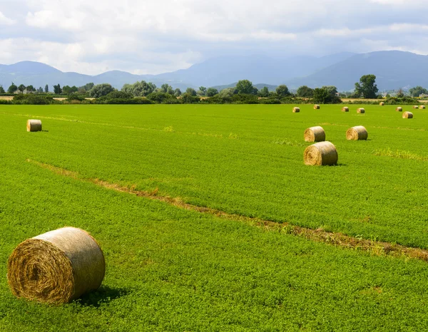 Country landscape in Lazio (Italy) — Stock Photo, Image