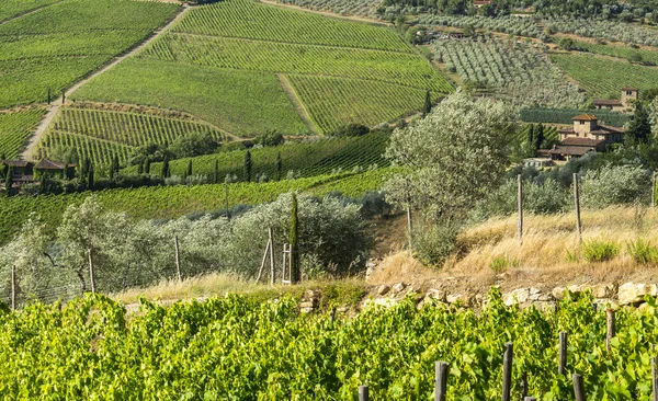 Chianti, Toskana — Stok fotoğraf