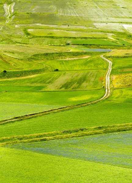 Piano Grande di Castelluccio (Italia) ) —  Fotos de Stock