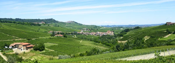 Letní krajina v langhe (Itálie) — Stock fotografie