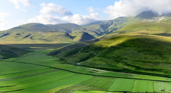 Piano Grande di Castelluccio (Италия) ) — стоковое фото